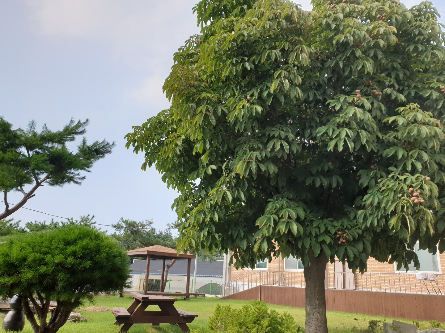 부모사랑요양원 이미지 3