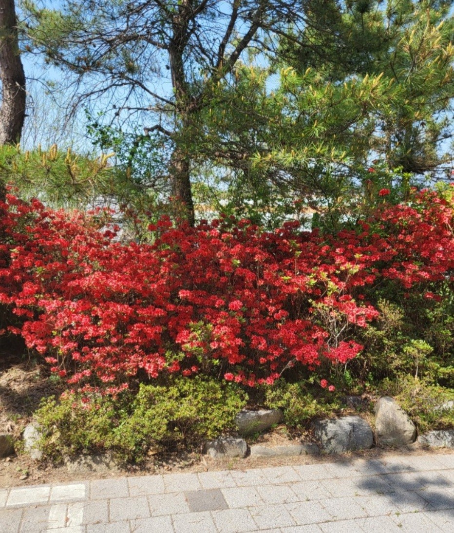 창원삼계요양원