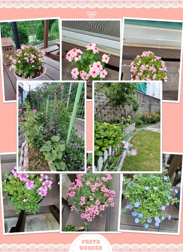 메디케어요양원 이미지 4