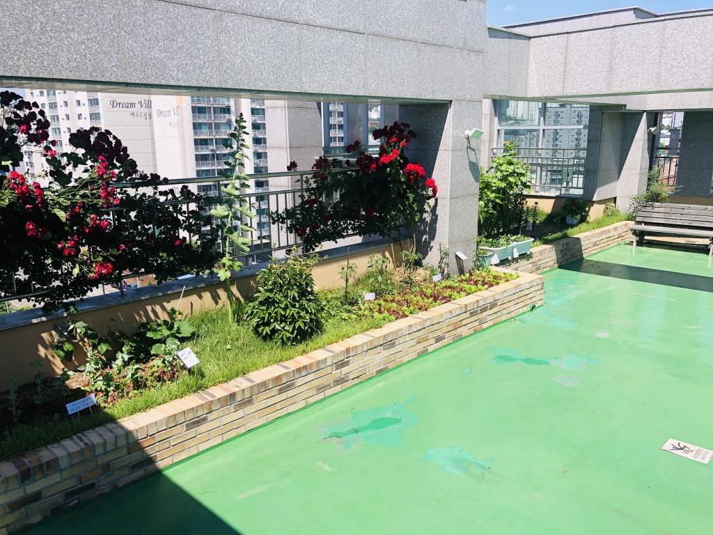 노블케어스 이미지 2