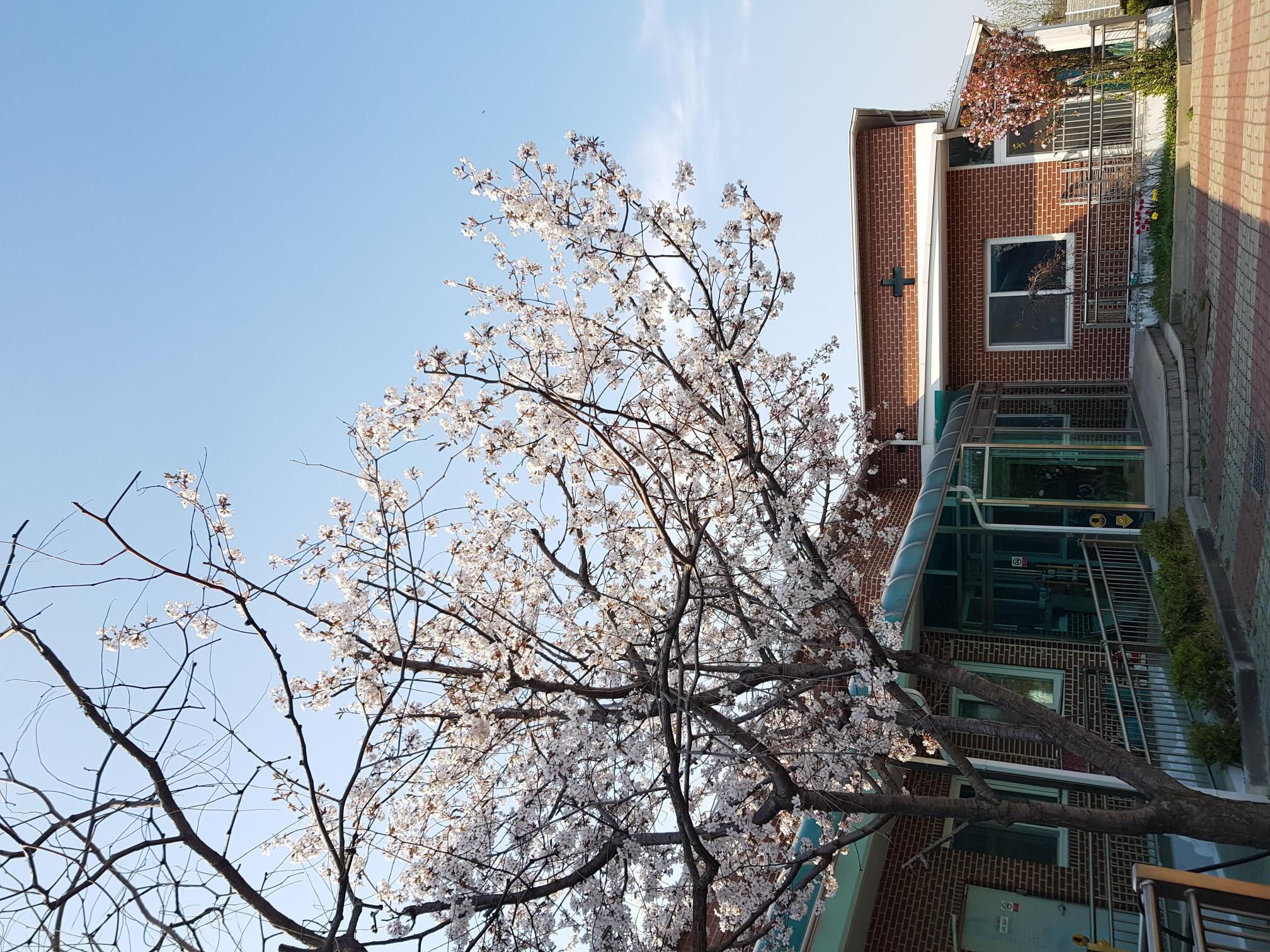 천상의집 이미지 18