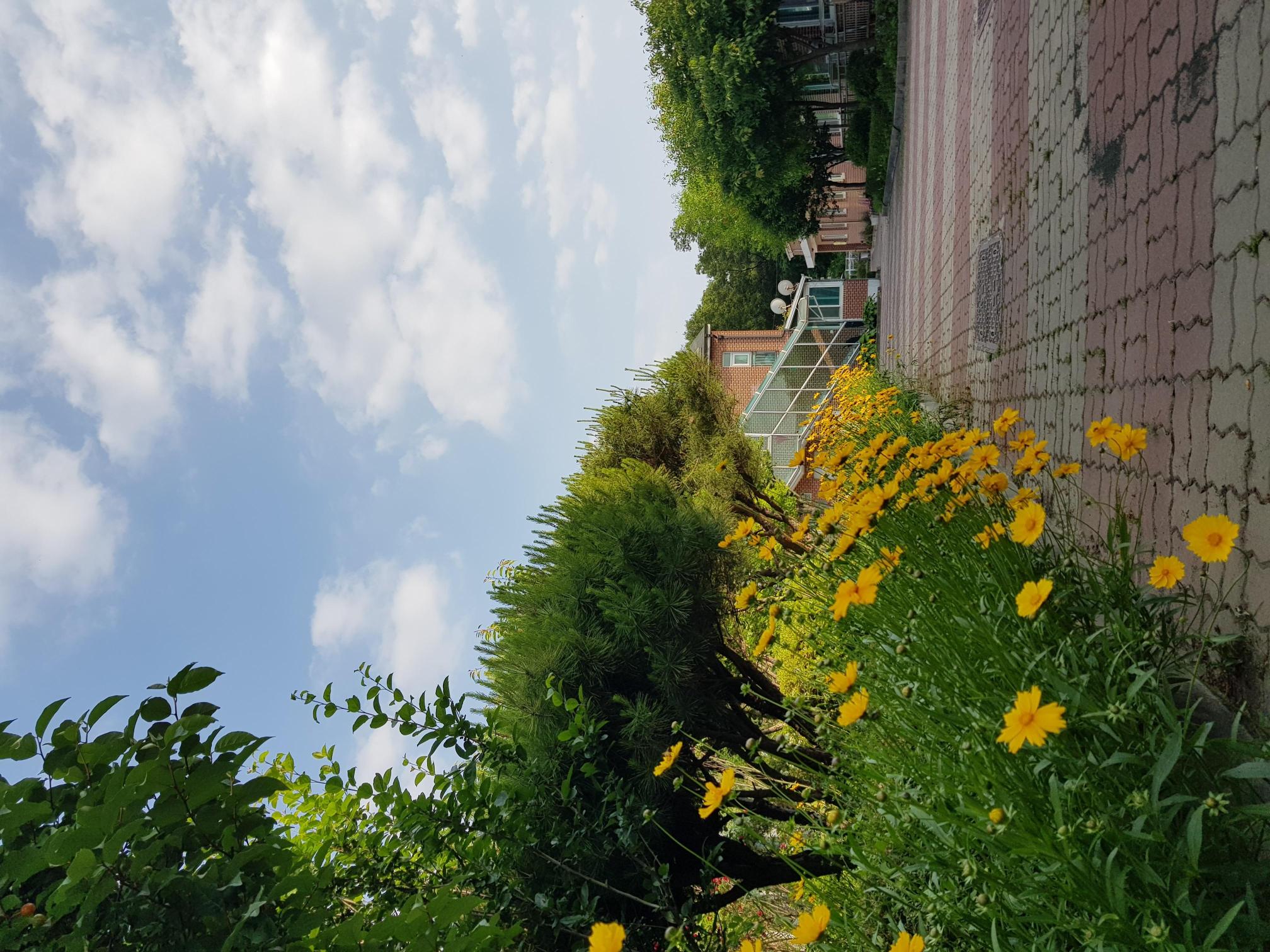 천상의집 이미지 14