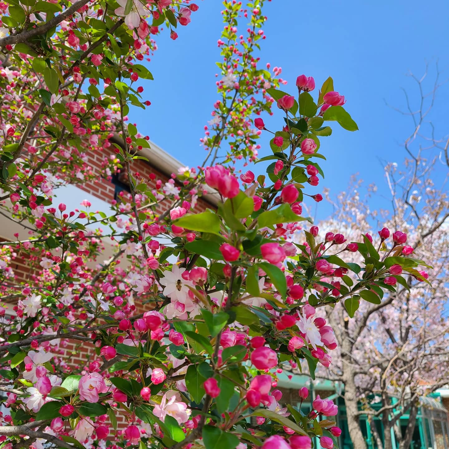 천상의집 이미지 7