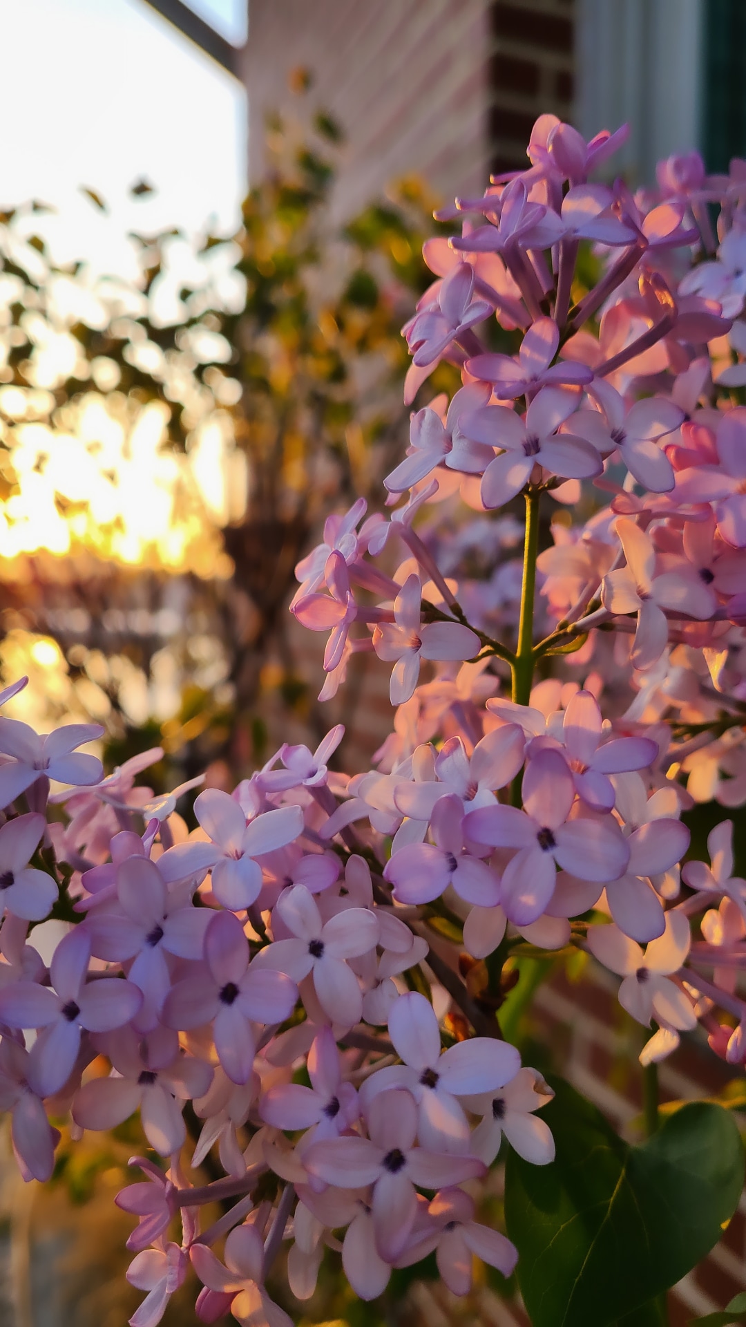 천상의집 이미지 6