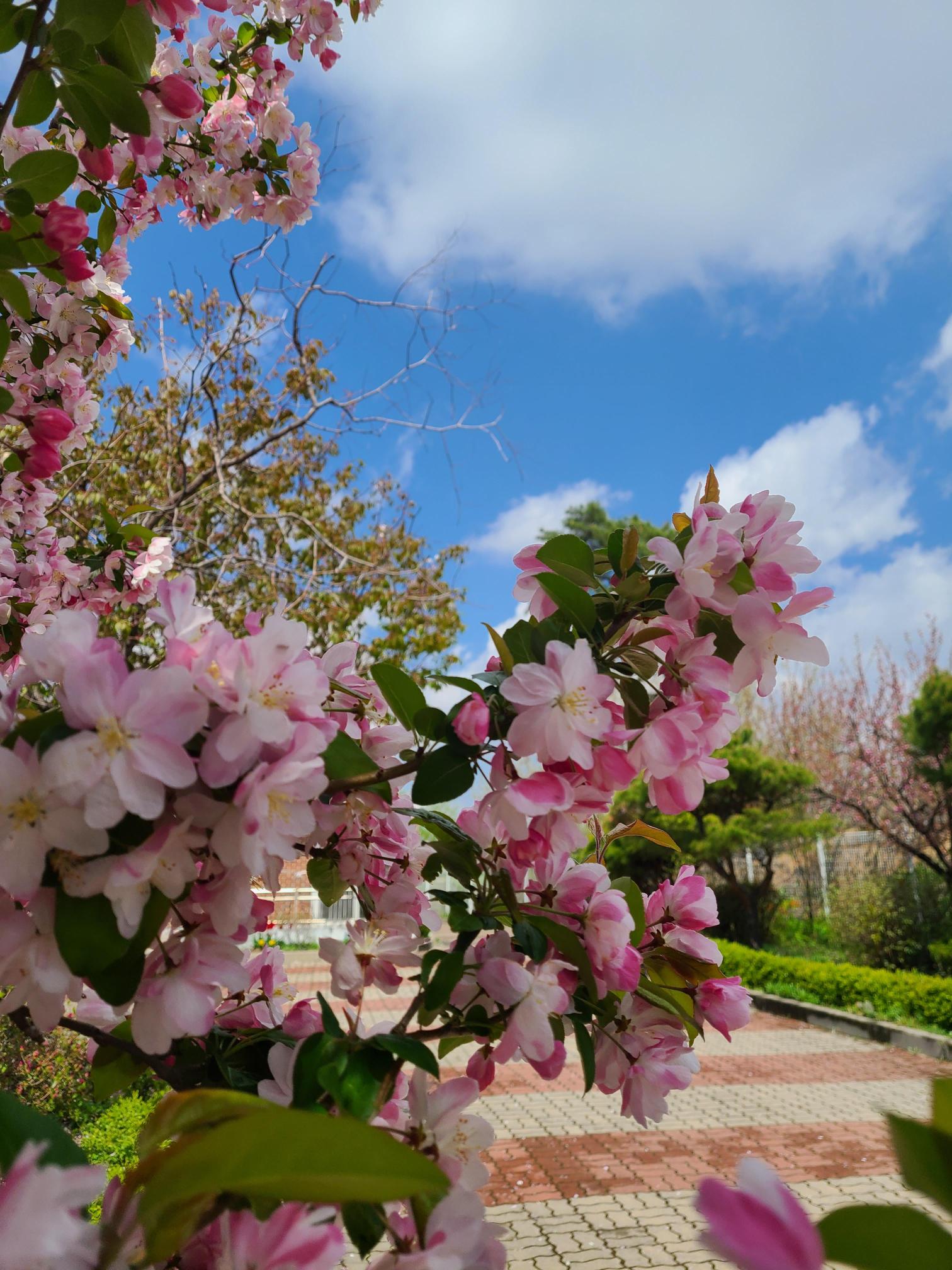 천상의집 이미지 5