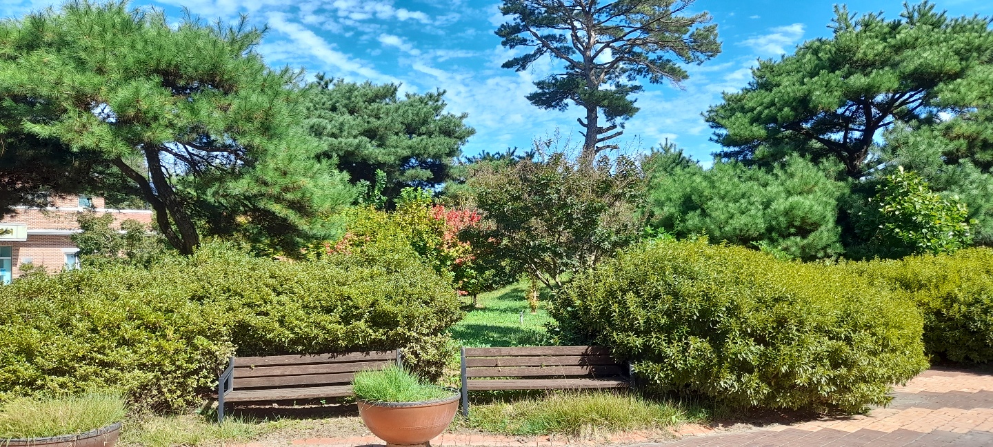 영주노인전문요양원 이미지 14