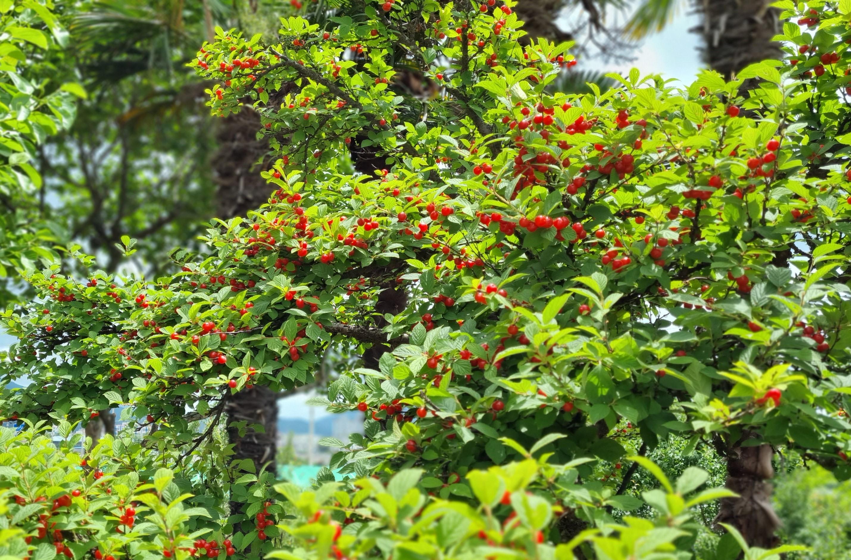 노인요양원 솔향 이미지 6