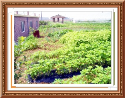 익산참사랑요양원 이미지 12