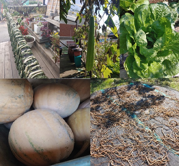 월롱패밀리 요양원 이미지 5