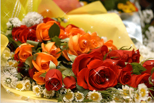 정다운집 이미지 4