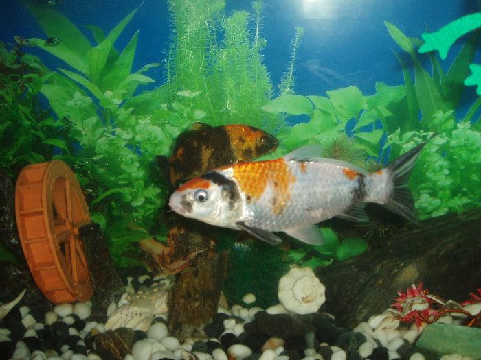 정다운집 이미지 3