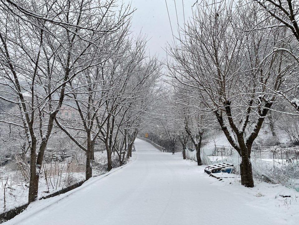 자혜은빛마을 이미지 11