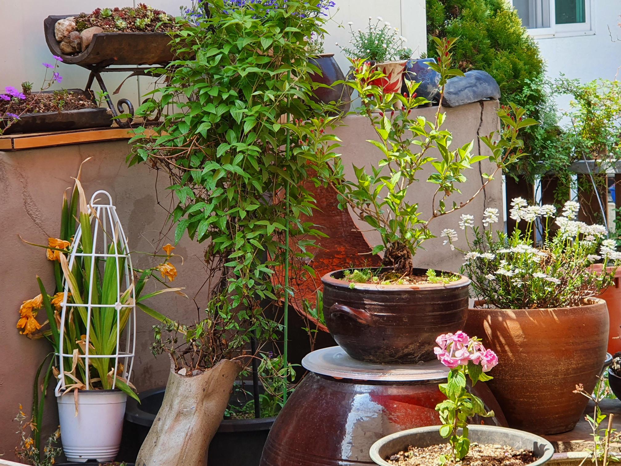 다빛노인복지센터 이미지 12