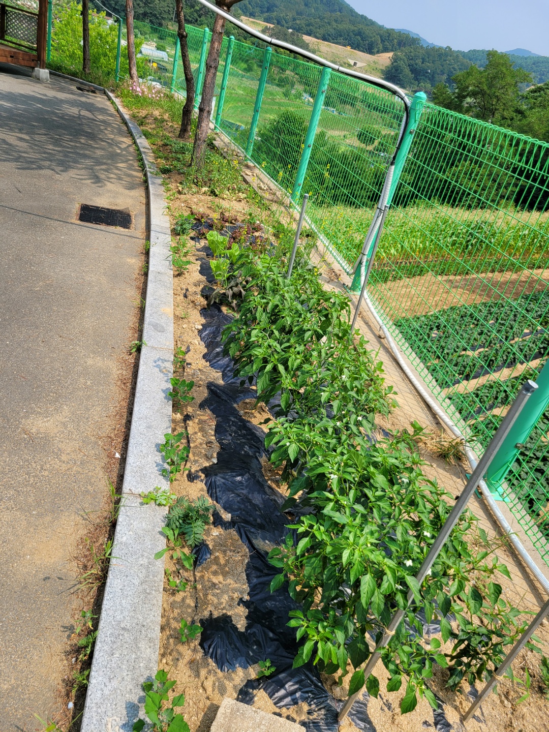 누리요양원 이미지 3