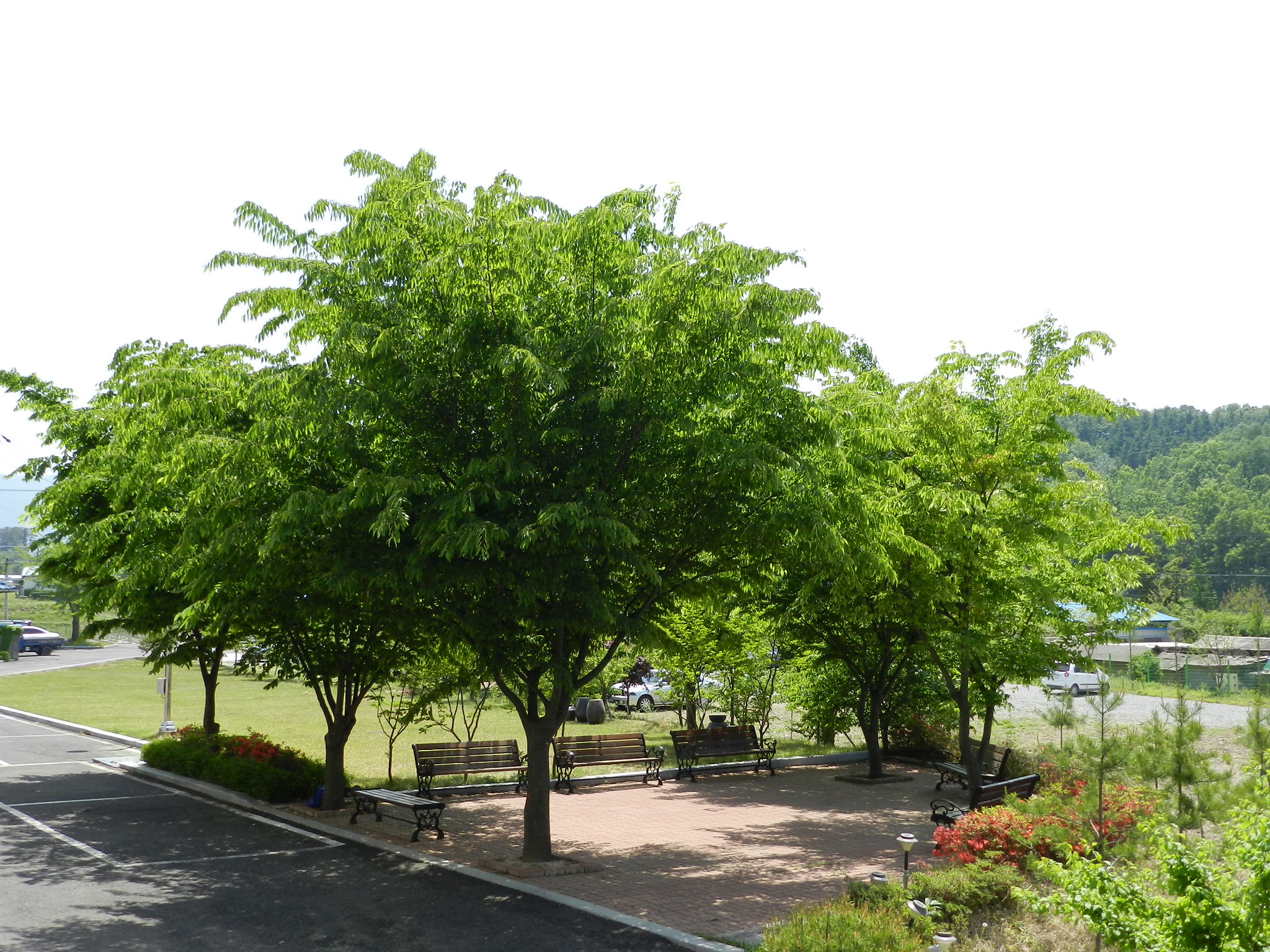 마야실비노인요양원 이미지 17