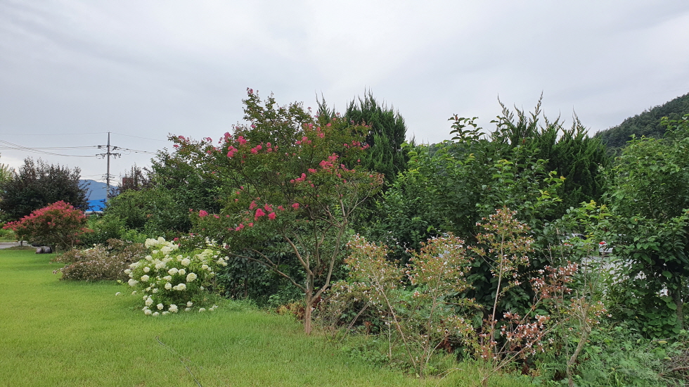 마야실비노인요양원 이미지 13