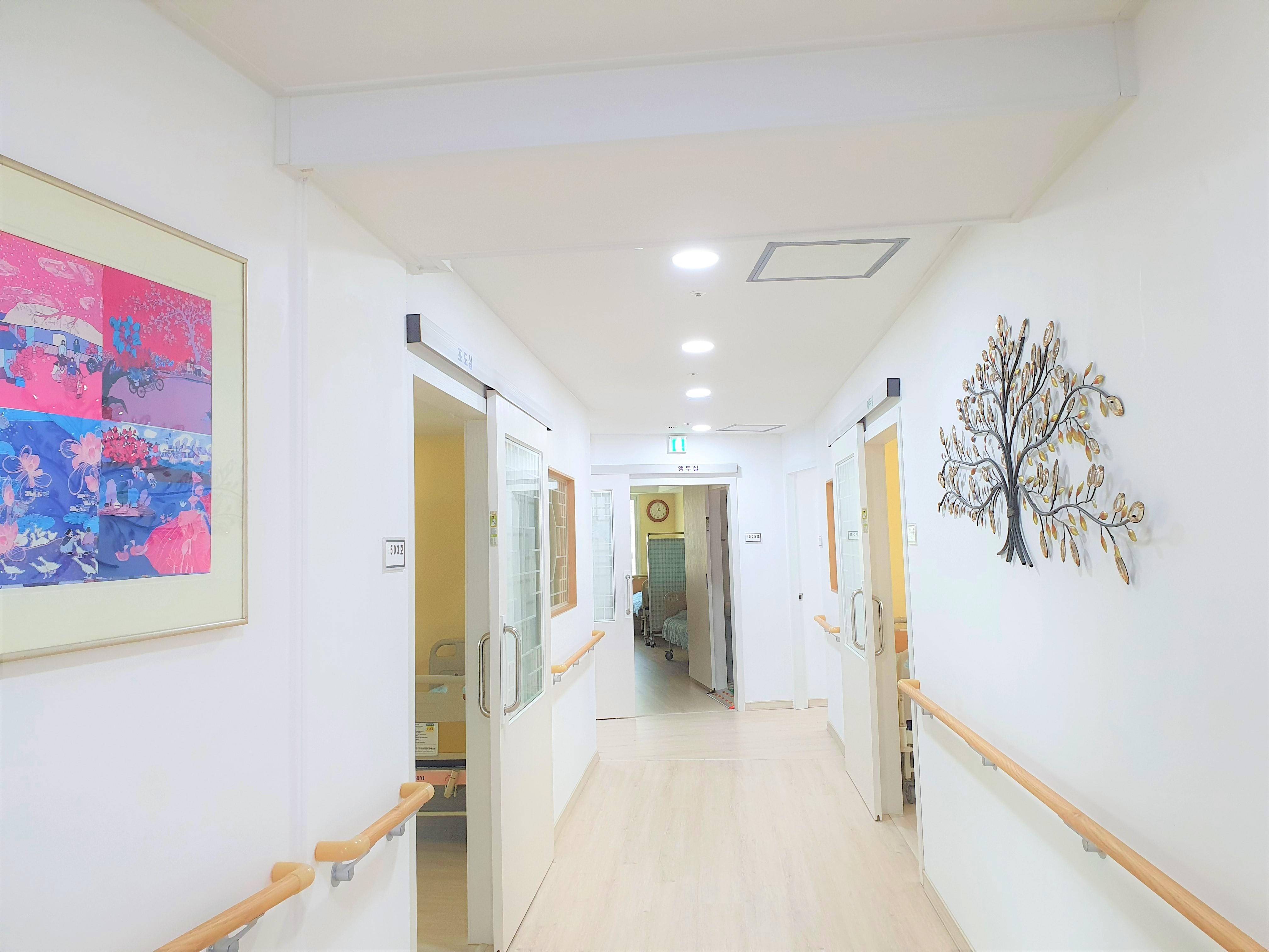 수 실버원 이미지 8