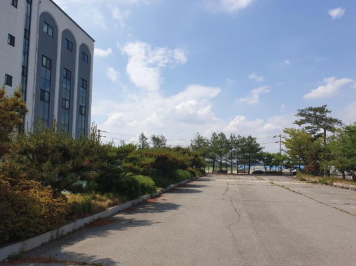 다나포레스트 이미지 14