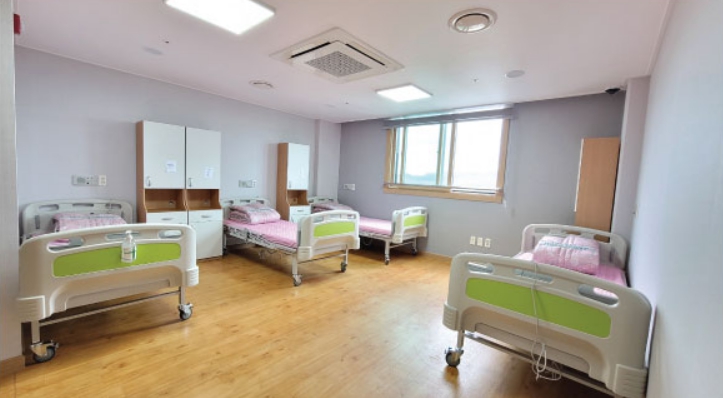 다나포레스트 이미지 3