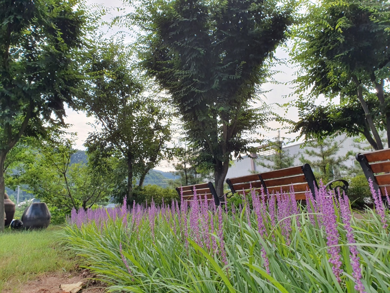 마야실비노인요양원