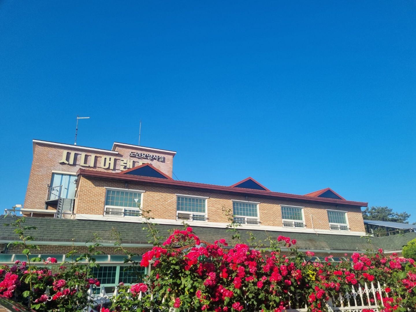 노인요양시설 시니어랜드 이미지 4