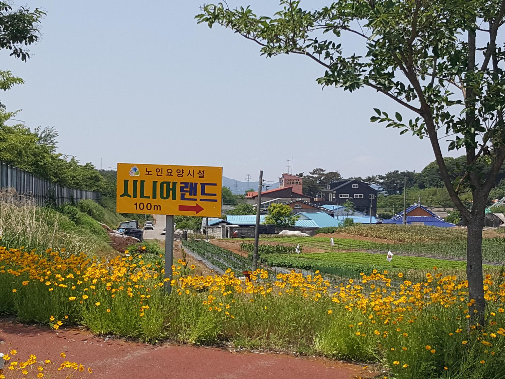 노인요양시설 시니어랜드 이미지 3