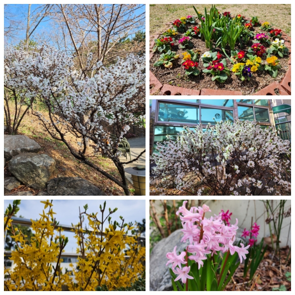 무량수노인요양원 이미지 50