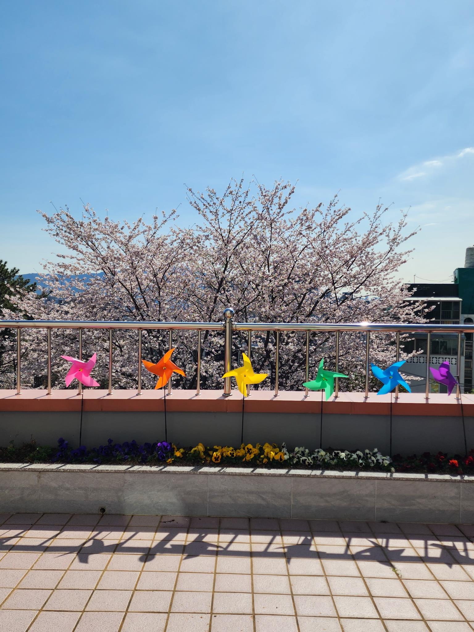 무량수노인요양원 이미지 48