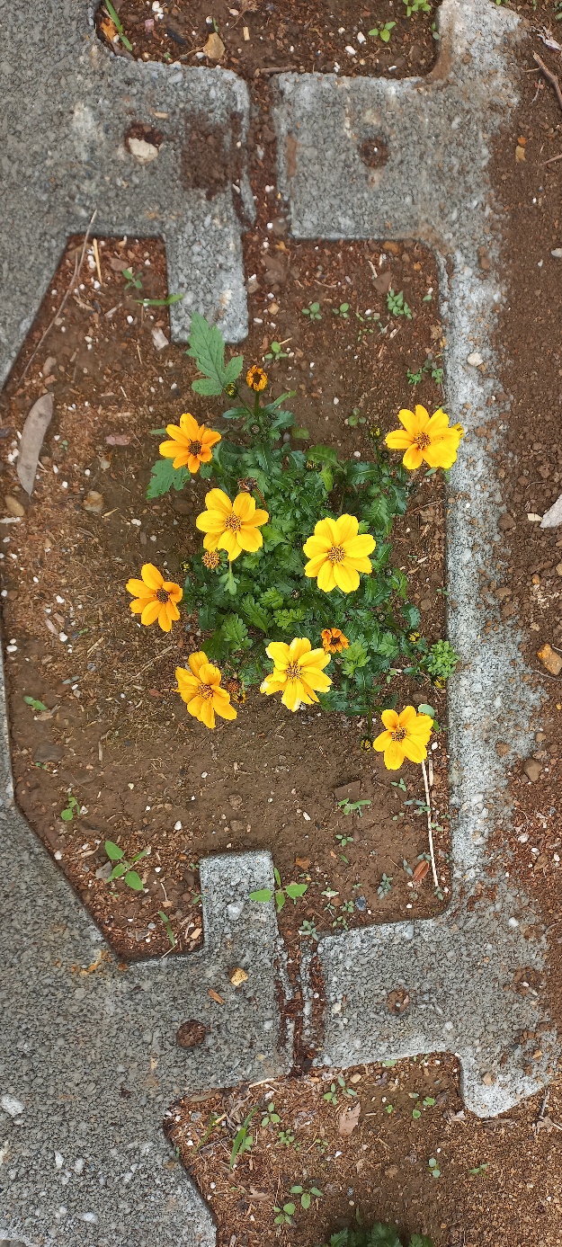 효은공동생활가정