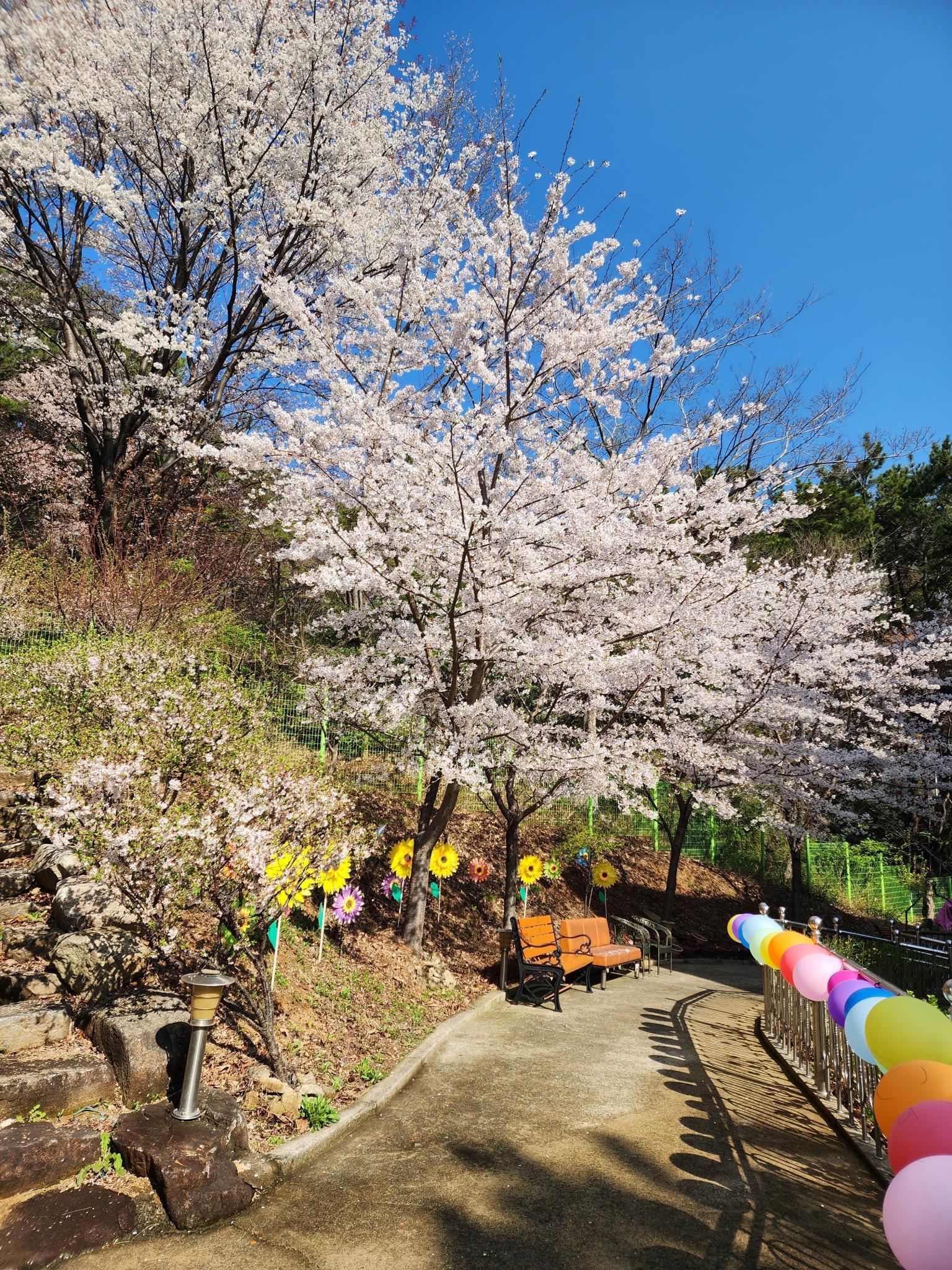 무량수노인요양원 이미지 45