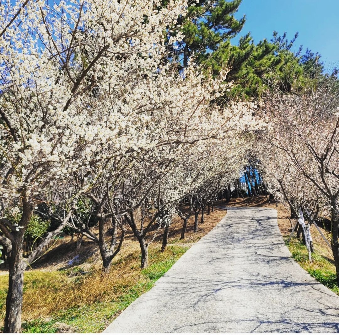 노인요양원 솔향 이미지 3