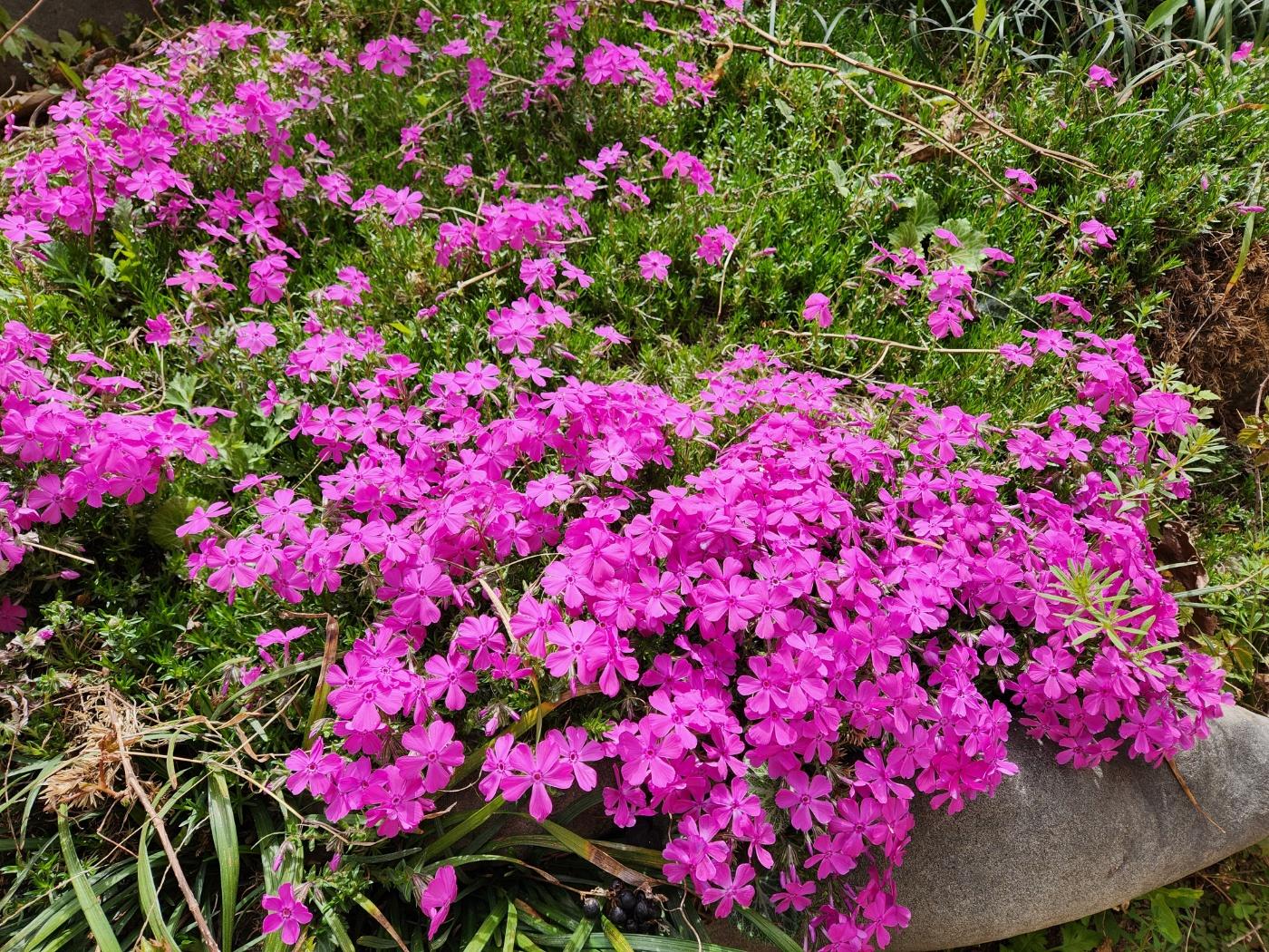 이화엔젤스요양원 이미지 18