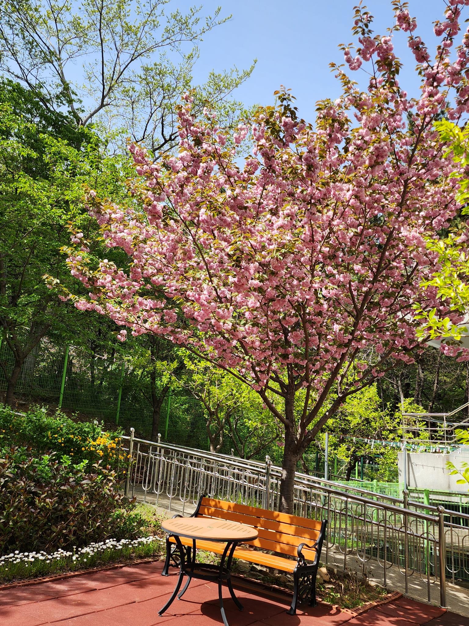 무량수노인요양원 이미지 44