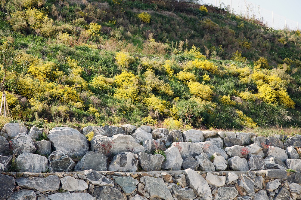 허베이종합복지센터 이미지 5