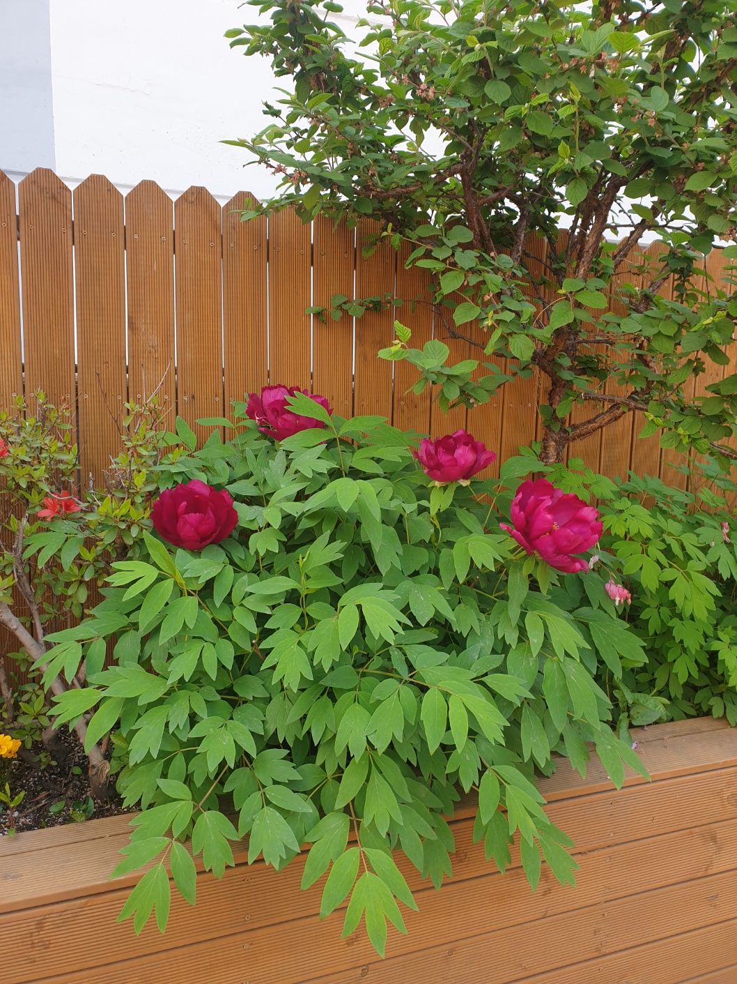 섬김요양원 이미지 4