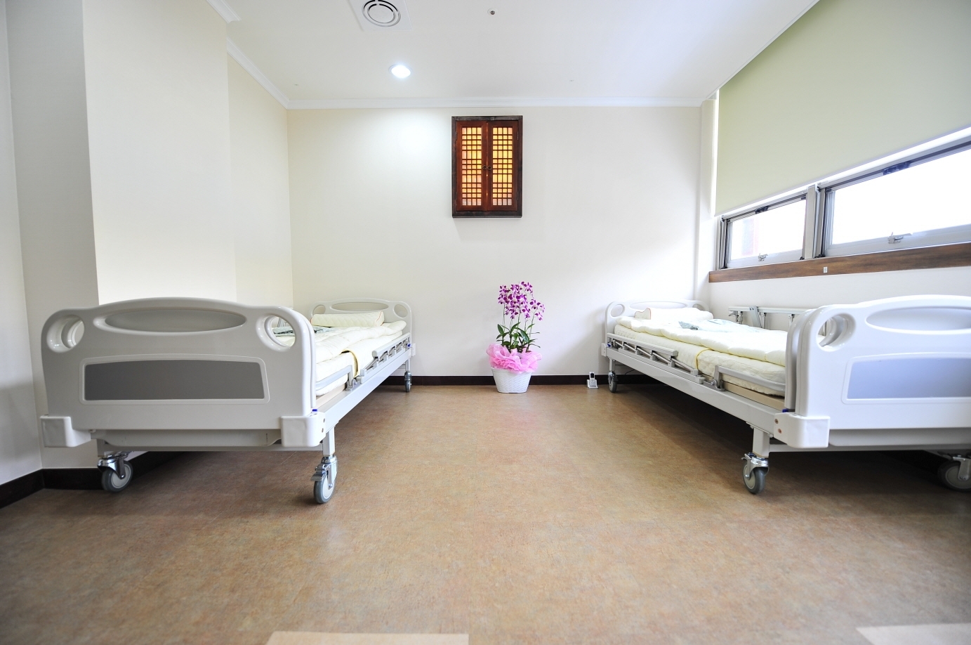 플래티늄 이미지 7