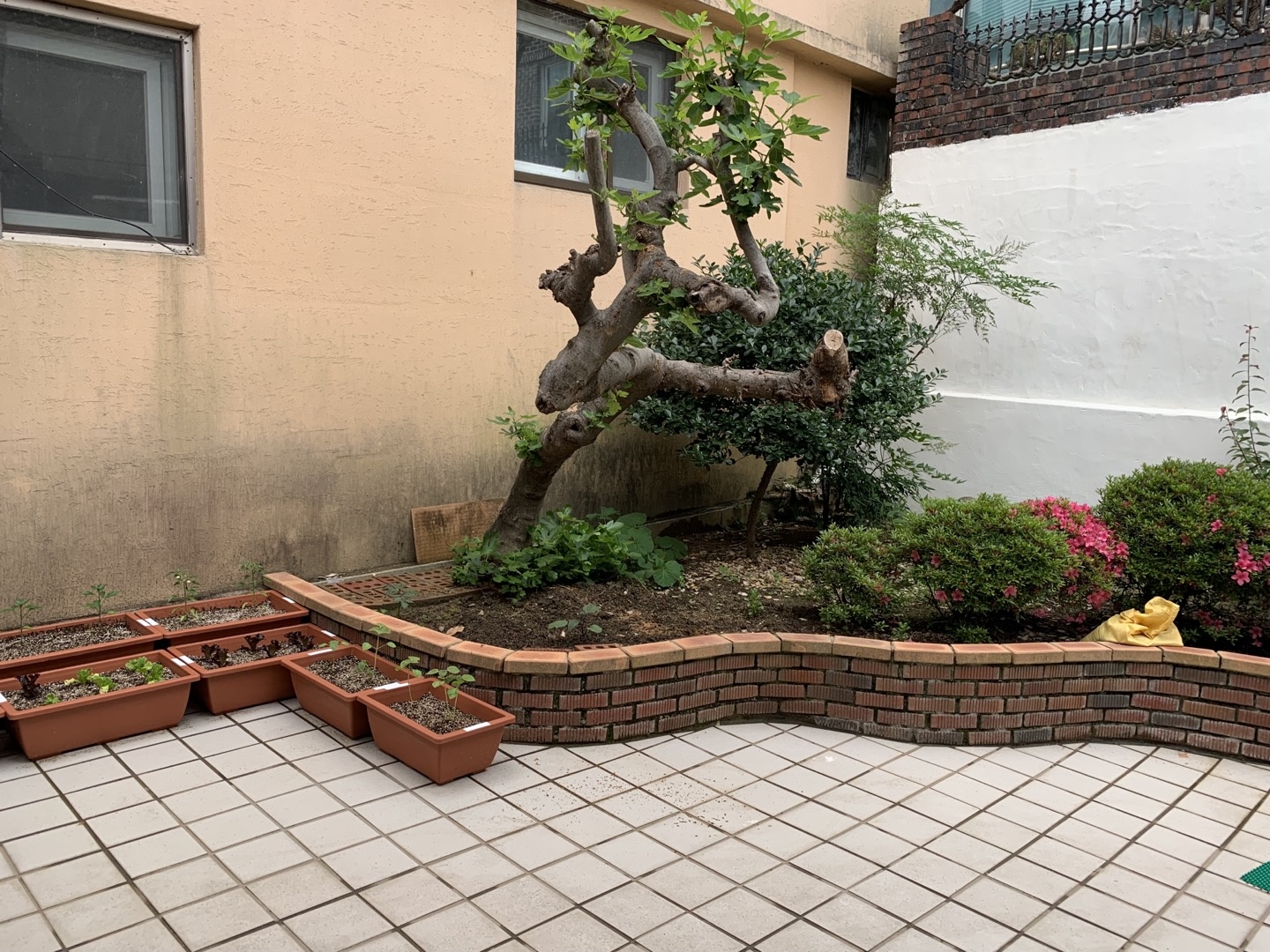 참좋은집 이미지 4