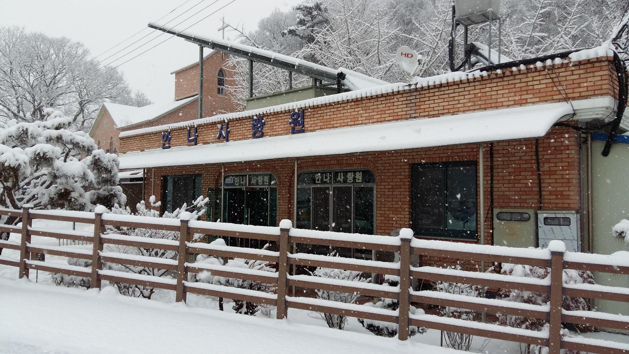 안나사랑원 이미지 4