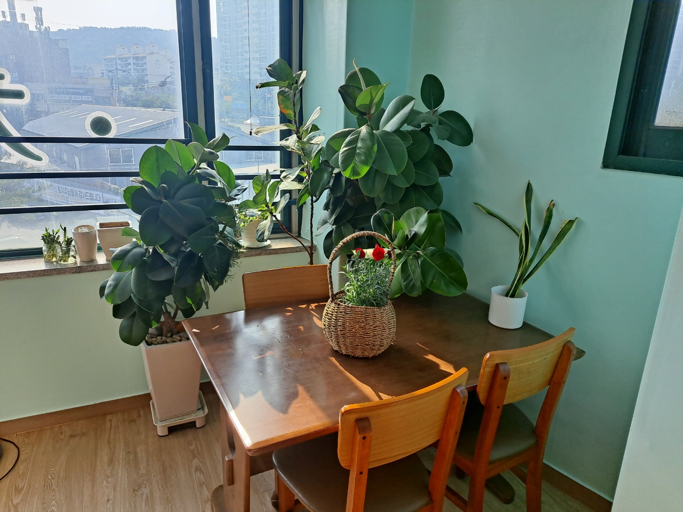 늘푸른 요양원 이미지 2