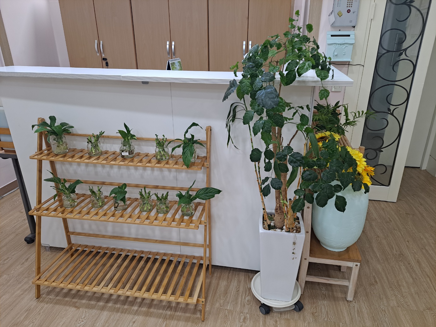 늘푸른 요양원 이미지 8