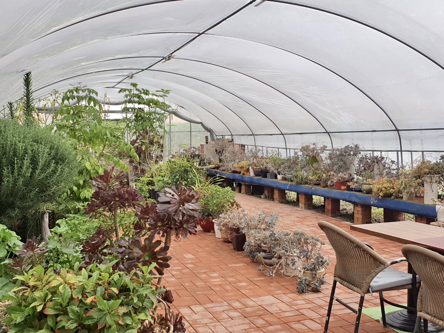 백향목의 집 이미지 9