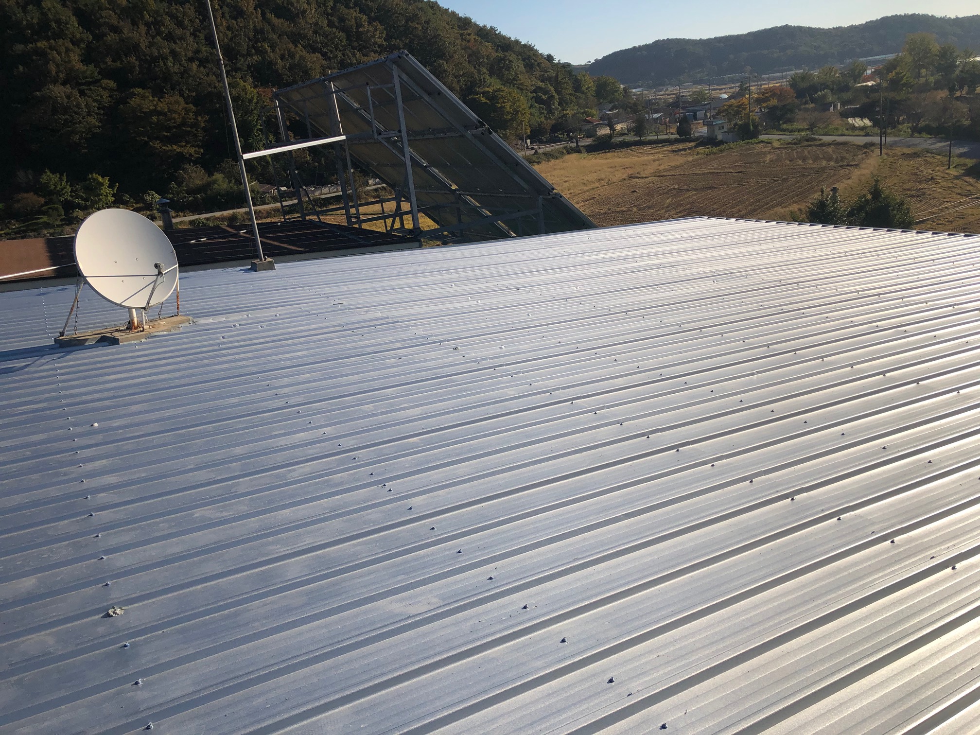 백향목의 집 이미지 12