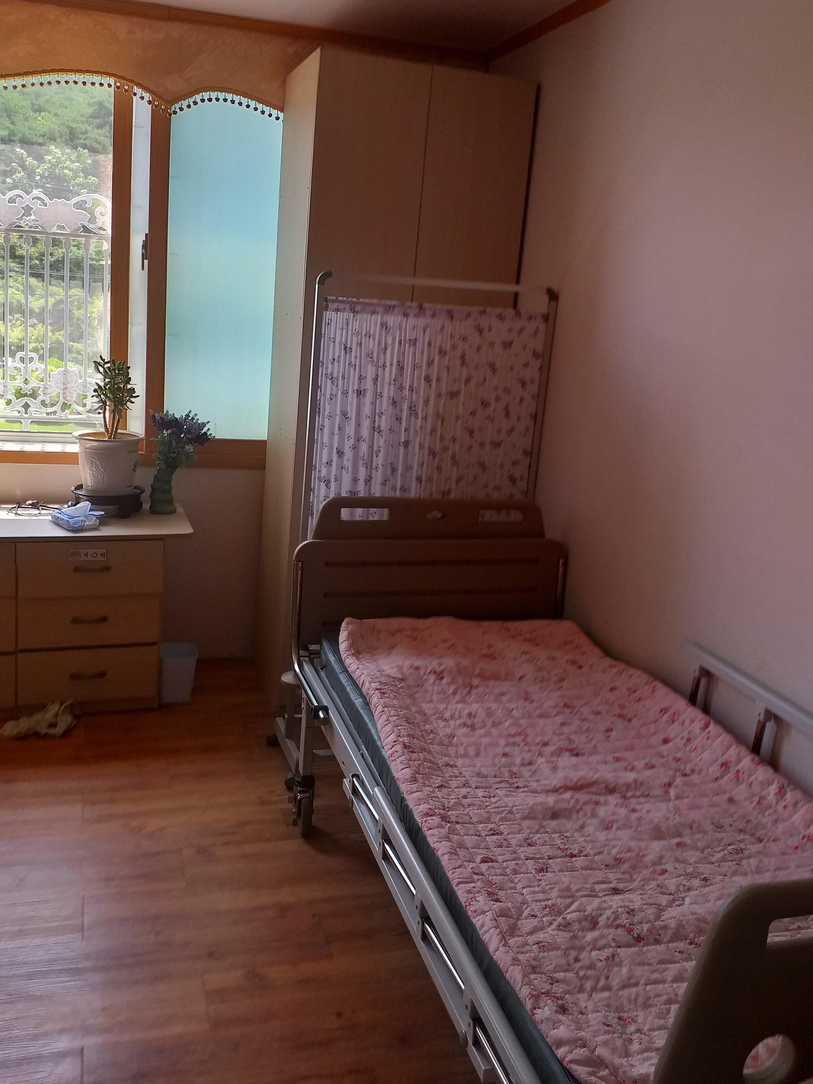 백향목의 집 이미지 8