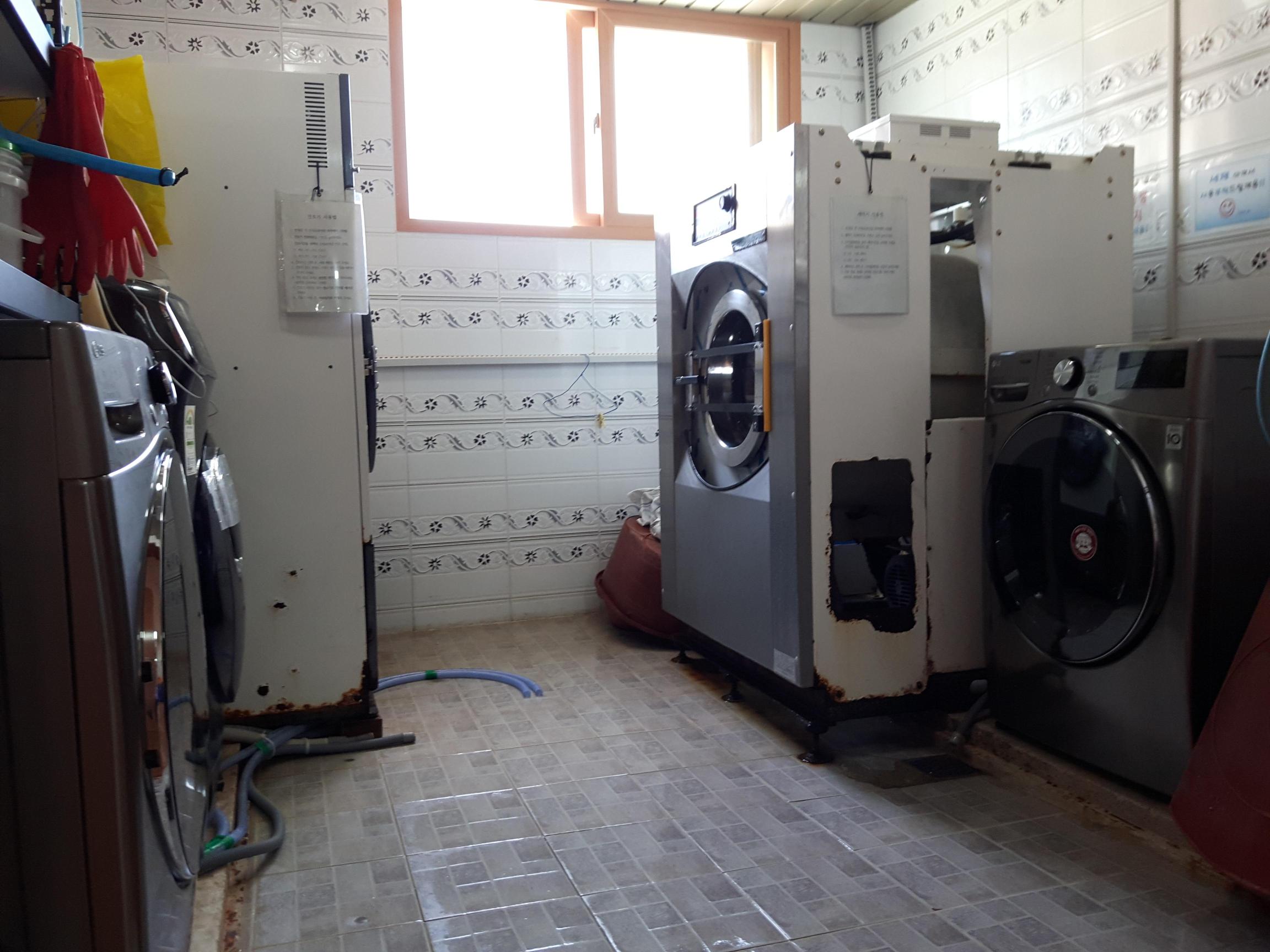 백향목의 집 이미지 14