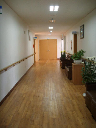 백향목의 집 이미지 10