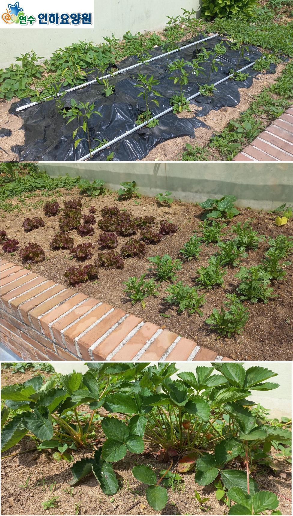 연수인하요양원 이미지 2