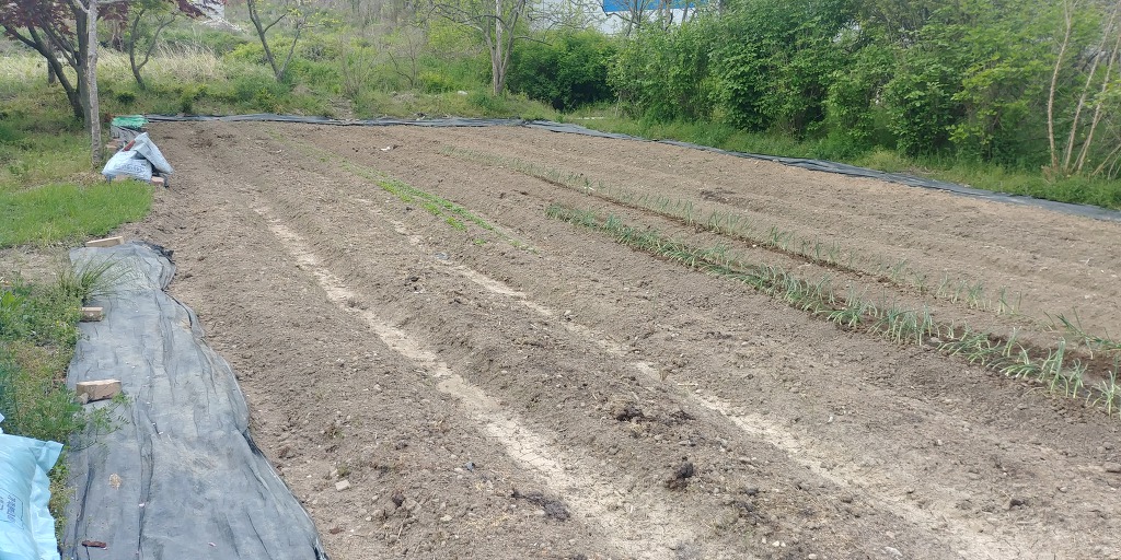 신도곡실버타운 이미지 2