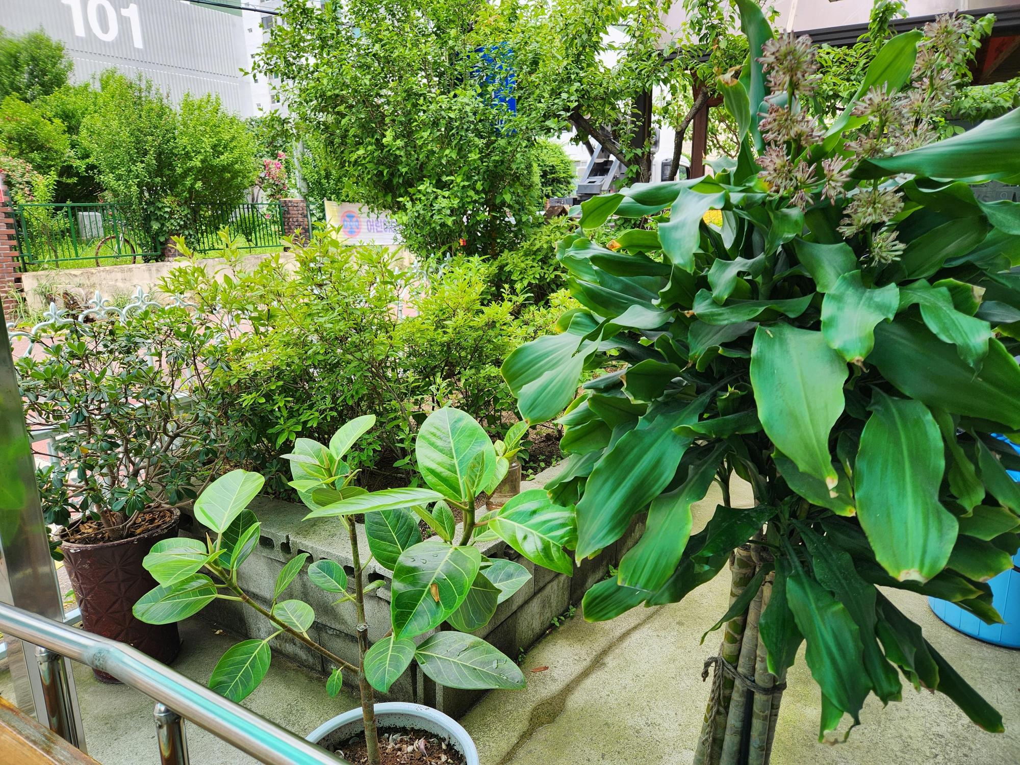 시온의집 요양원 이미지 2