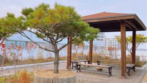 늘사랑요양원 이미지 7