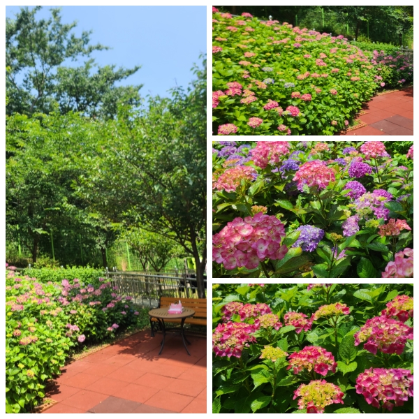 무량수노인요양원 이미지 39